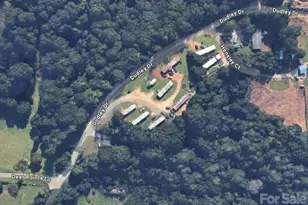 160 & 196 Dudley Dr, Flat Rock, NC 28731 - Photo 3