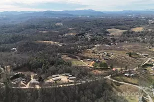 160 & 196 Dudley Dr, Flat Rock, NC 28731 - Photo 9