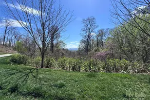 44 Samuel Ashe Dr, Asheville, NC 28805 - Photo 1