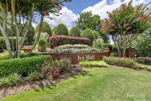 10626 Newberry Park Ln, Charlotte, NC 28277 - Photo 3