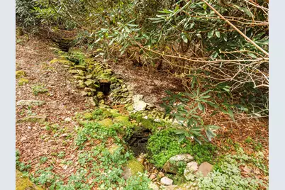 70 Fox Run, Hot Springs, NC 28743 - Photo 23