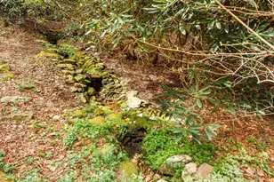 70 Fox Run, Hot Springs, NC 28743 - Photo 23