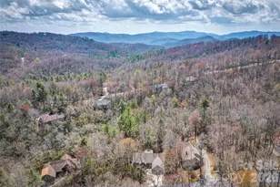 226 Ogana Ct, Brevard, NC 28712 - Photo 45