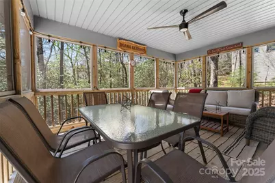 226 Ogana Court, Brevard, NC 28712 - Photo 37