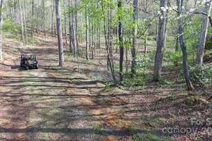 723 N Highland Rd, Mill Spring, NC 28756 - Photo 33