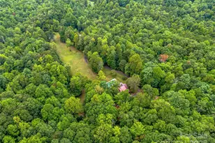 388 Hard to Find Dr, Brevard, NC 28712 - Photo 15