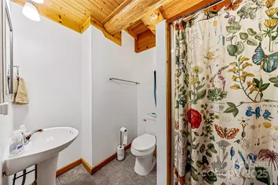 388 Hard To Find Drive, Brevard, NC 28712 - Photo 23