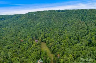 388 Hard to Find Dr, Brevard, NC 28712 - Photo 3