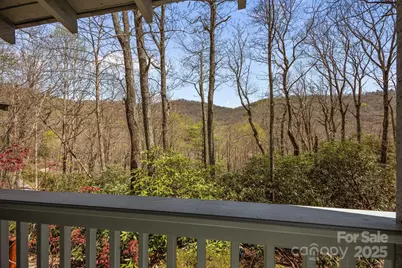 63 Chestnut Forest Road, Fairview, NC 28730 - Photo 5
