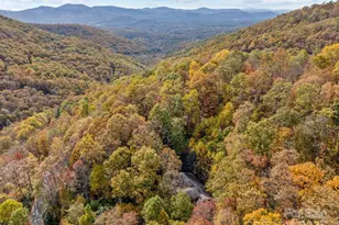 63 Chestnut Frst Rd, Fairview, NC 28730 - Photo 47