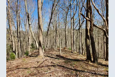 6033 Hwy 321 Highway, Sugar Grove, NC 28679 - Photo 27