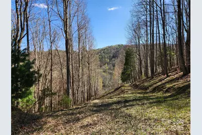 6033 Hwy 321 Highway, Sugar Grove, NC 28679 - Photo 23