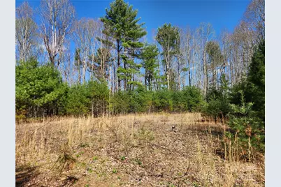 6033 Hwy 321 Highway, Sugar Grove, NC 28679 - Photo 3