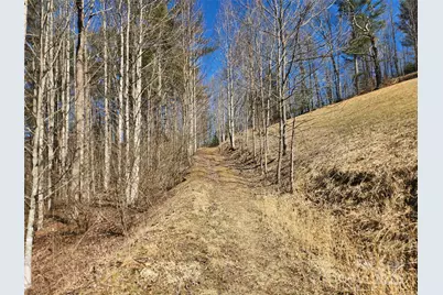 6033 Hwy 321 Highway, Sugar Grove, NC 28679 - Photo 15