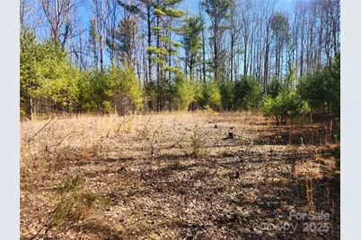 6033 Hwy 321 Highway, Sugar Grove, NC 28679 - Photo 17