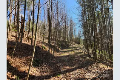 6033 Hwy 321 Highway, Sugar Grove, NC 28679 - Photo 21