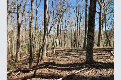 6033 Hwy 321 Highway, Sugar Grove, NC 28679 - Photo 5