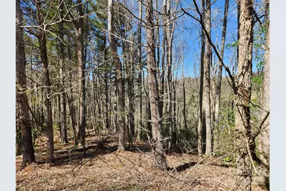 6033 Hwy 321 Highway, Sugar Grove, NC 28679 - Photo 25