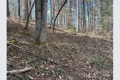 8951 US 25/70 Highway, Marshall, NC 28753 - Photo 9