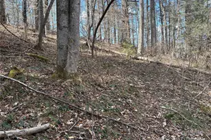 8951 US 25/70 Hwy, Marshall, NC 28753 - Photo 9