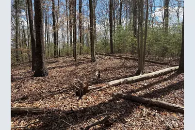 8951 US 25/70 Highway, Marshall, NC 28753 - Photo 15