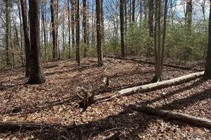 8951 US 25/70 Hwy, Marshall, NC 28753 - Photo 15