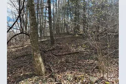 8951 US 25/70 Highway, Marshall, NC 28753 - Photo 11