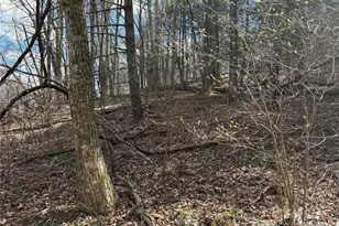 8951 US 25/70 Hwy, Marshall, NC 28753 - Photo 11