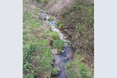 8951 US 25/70 Highway, Marshall, NC 28753 - Photo 5