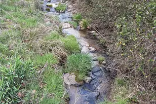 8951 US 25/70 Hwy, Marshall, NC 28753 - Photo 5