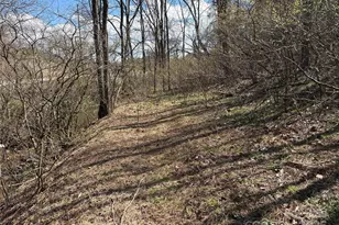 8951 US 25/70 Hwy, Marshall, NC 28753 - Photo 7