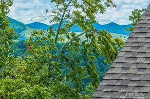 228 Allen Mountain Dr, Black Mountain, NC 28711 - Photo 41