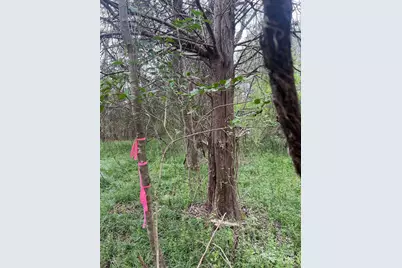 11055 Graybark Road, Midland, NC 28107 - Photo 3