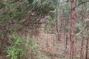 11055 Graybark Rd, Midland, NC 28107 - Photo 7