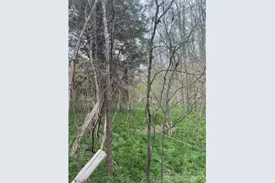 11055 Graybark Road, Midland, NC 28107 - Photo 5