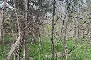 11055 Graybark Rd, Midland, NC 28107 - Photo 5