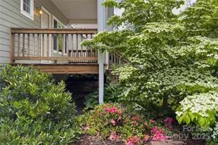 3 Teresa Way, Black Mountain, NC 28711 - Photo 3