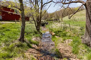 435 Upper Glady Fork Rd, Candler, NC 28715 - Photo 31