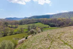 435 Upper Glady Fork Rd, Candler, NC 28715 - Photo 11