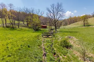 435 Upper Glady Fork Rd, Candler, NC 28715 - Photo 25