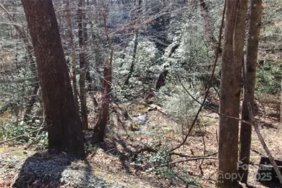 V/L Heartwood Forest Drive #26 & 27, Collettsville, NC 28611 - Photo 9