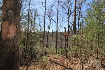 V/L Heartwood Forest Drive #26 & 27, Collettsville, NC 28611 - Photo 7