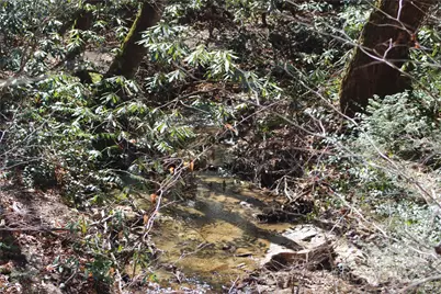 V/L Heartwood Forest Drive #26 & 27, Collettsville, NC 28611 - Photo 11