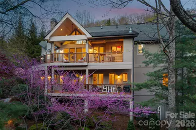 256 Senator Reynolds Road, Asheville, NC 28804 - Photo 3