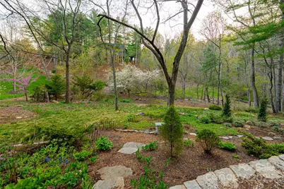 256 Senator Reynolds Road, Asheville, NC 28804 - Photo 47