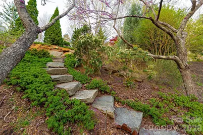 256 Senator Reynolds Road, Asheville, NC 28804 - Photo 41