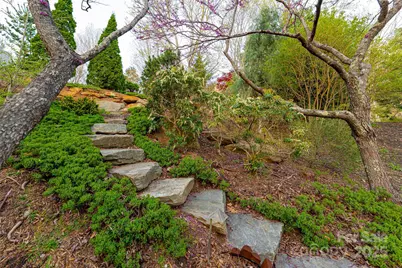 256 Senator Reynolds Road, Asheville, NC 28804 - Photo 45