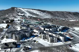 301 Pinnacle Inn Rd, Beech Mountain, NC 28604 - Photo 27