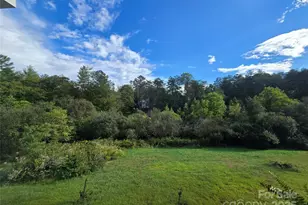 19 Higgins Rd, Weaverville, NC 28787 - Photo 9