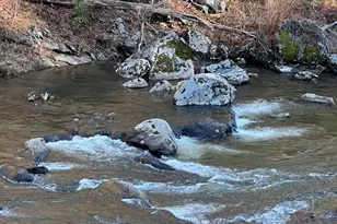 12982 US 19W Hwy, Burnsville, NC 28714 - Photo 1